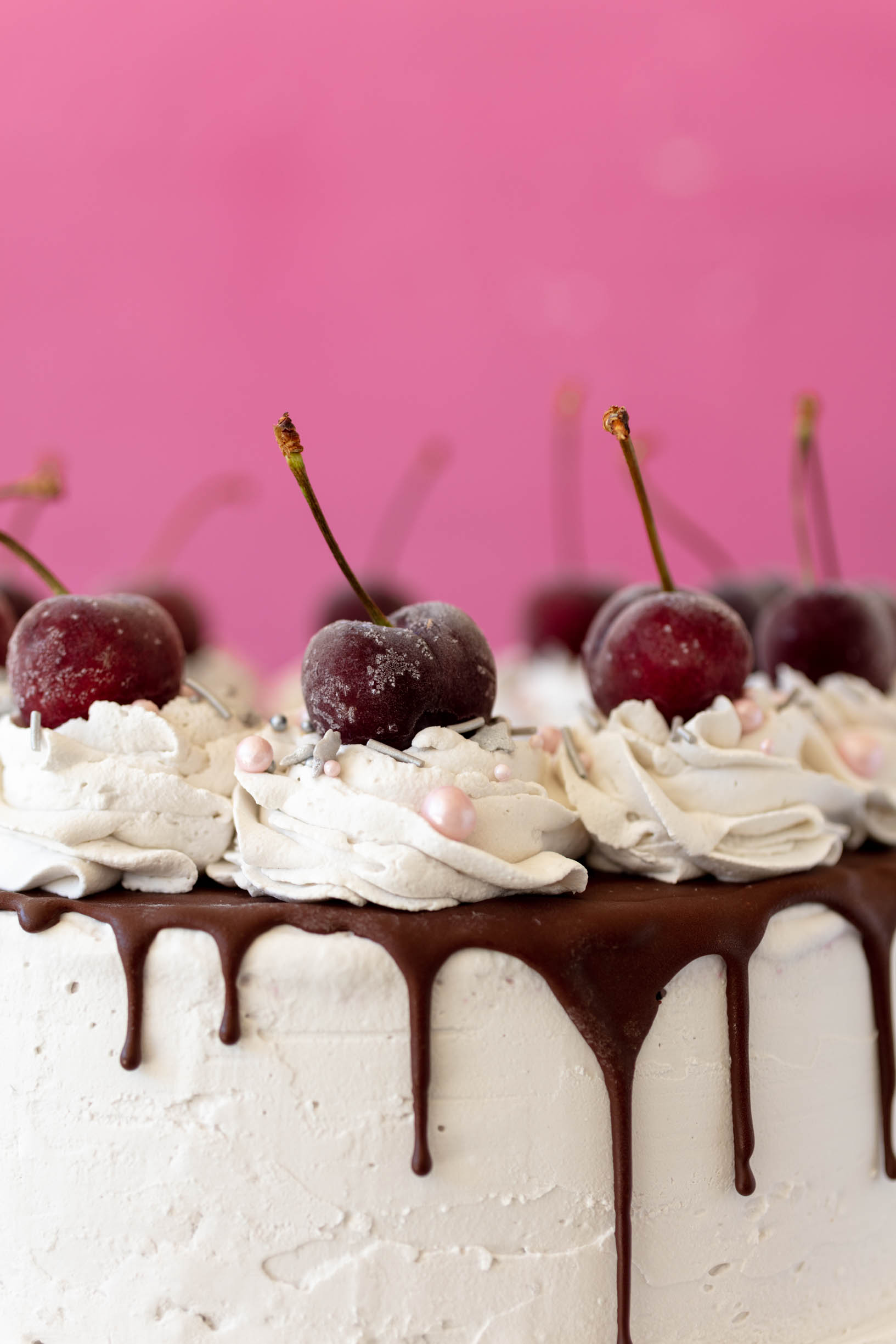 closeup shot of the vegan ice cream cake