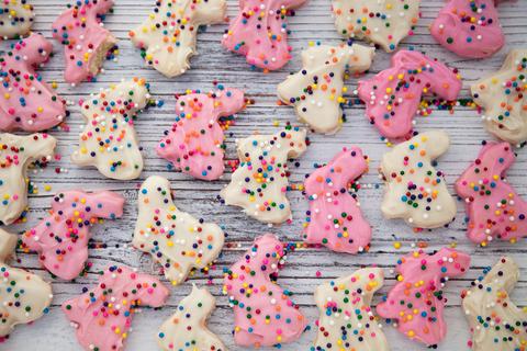 vegan mother's bunny cookies
