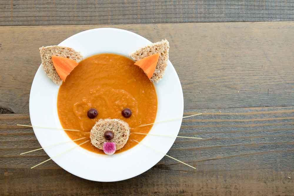 Vegan Red Panda Carrot Soup